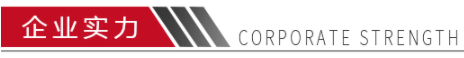企业实力